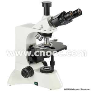 Quality Infinity Trinocular Biological Microscope 6V 30W Halogen Lamp A12.0204 for sale