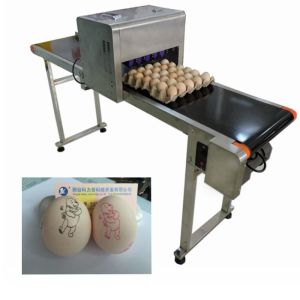 Quality 52KG Egg Date Stamp Machine With Wide Printed Content Like Chinese And English for sale