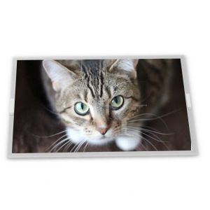 Quality ODM 19.0-Inch WLED LCD Display Module G190EG02 V104 with 1280*1024 Resolution for New Product Developments for sale