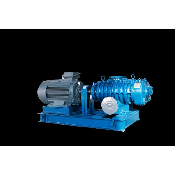 Buy Advanced Roots Vacuum Pumps for High Vacuum Extraction in Industrial Settings at wholesale prices