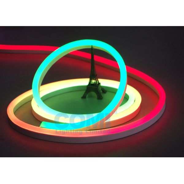 Buy 24V Multi  RGB Color Neon LED Strip Lights Waterproof For Contour Profile Holiday Decoration at wholesale prices