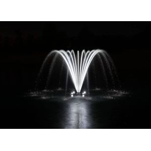 Stainless Steel 304 Jewel Crown Fountain Jet For Commercial