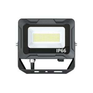 Temperature Resistant 30W Exterior Led Floodlights 100w Flood Light For Rooftop