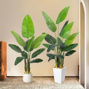 China Artificial Bird of Paradise Plant 6.8FT - Luxury Faux Palm Tree in White Planter for Indoor Office Decor on sale China Artificial Bird of Paradise Plant 6.8FT - Luxury Faux Palm Tree in White Planter for Indoor Office Decor on sale