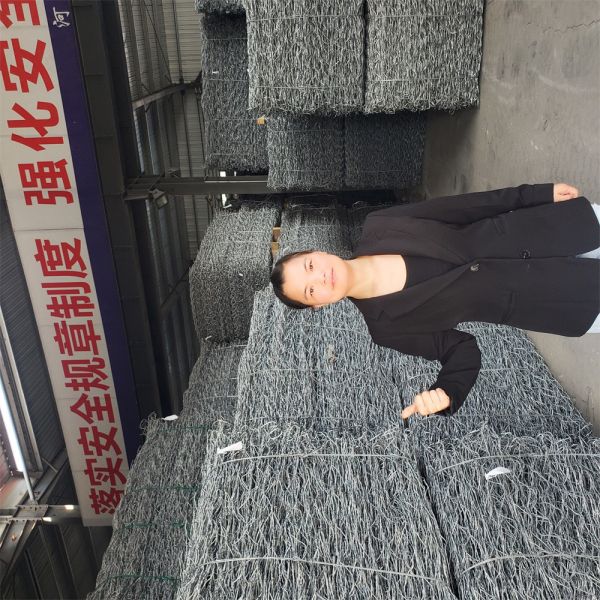 Stainless Steel Woven Gabion B0x Hydraulic Engineering Rockfall Barrier Heavy