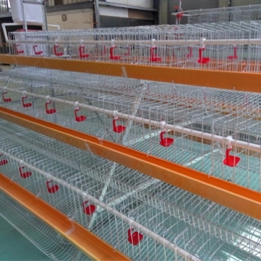 Farm Battery 2.5mm Egg Chicken Cage A Type Breeding