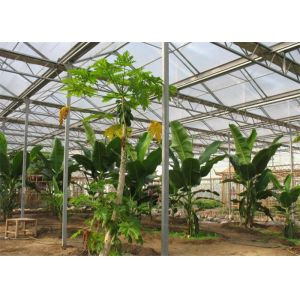 China Tomato Planting Ecological Greenhouse Steel Structure Main Frame Long Lifetime on sale