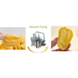Quality Stainless Steel Jackfruit Chips Making Machine With Stable Vacuum Condition for sale