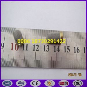 The Most Professional Stamping Screen / Oil Pump Strainer / Pump Strainer