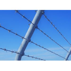 Double Twist Spool Of Galvanized 12#*14# Barbed Wire For Security Fencing