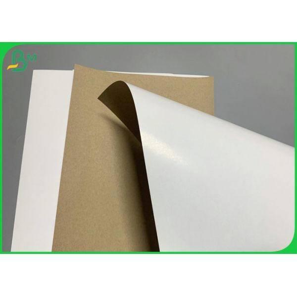 350gsm Food Grade White Coated Kraft Back Paper Wood Pulp Food Box Paper 350gsm Food Grade White Coated Kraft Back Paper Wood Pulp Food Box Paper