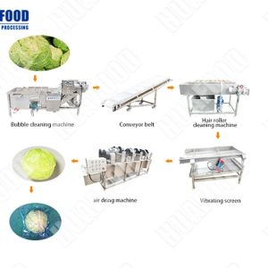 Automatic Salad Production Line Vegetable Washing Processing Line