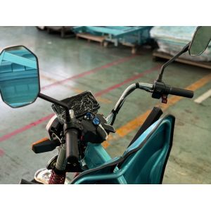 Feng shen150-2 1000WD Cargo Tricycle Rated load 200kg