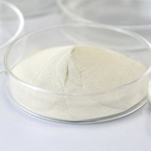 Enzyme, Fungal Amylase Enzymes ,Powder,Baking and Brewing Industries