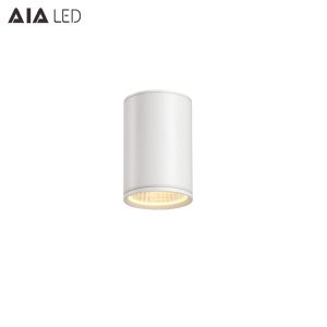 IP65 waterproof outside surface mounted downlight&bathroom downlight for