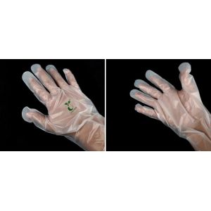 Wholesale disposable gloves, plastic gloves, biodegradable gloves, compostable