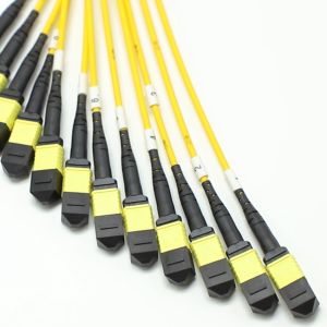 1M MPO Fanout Cable
