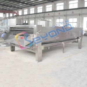 Industrial fruit washing machine high efficiency fruit and vegetable clapboard