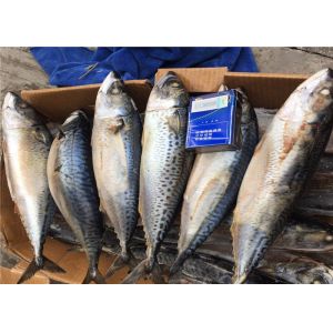 Health High Protein 500G Pacific Fresh Frozen Mackerel