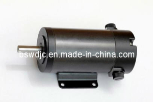 China DC Motor 220V 750W 3000rpm on sale