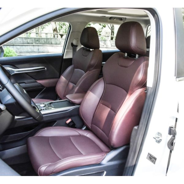 RADAR RD6 2023 Model 550km Chuangke Edition Pure Electric Pickup Truck