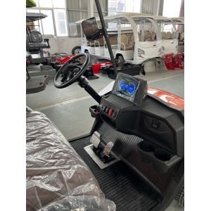 4kw Motor Golf Cart With Ball Washer And Sand Bottle For 2 Golf Courses Equipped