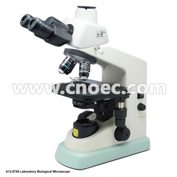 E100 Learning Wide Field Microscope Halogen Illumination Microscopes A12.0705