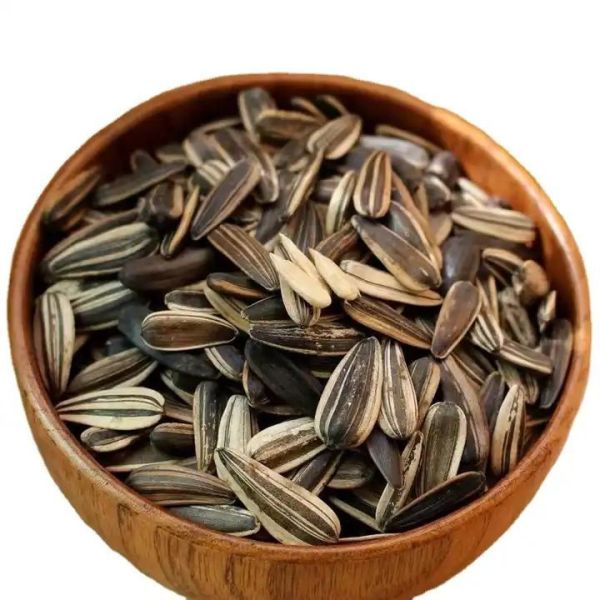 Amazon hot selling professional roasted sunflower seed manufacturer wholesale