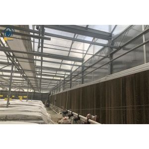 High Yield Farming Polycarbonate Greenhouse Fruit And Vegetable Greenhouse