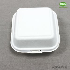 6 Inch (547 Ml) Clashmell Microwavable Container Boxes - Restaurant Carryout