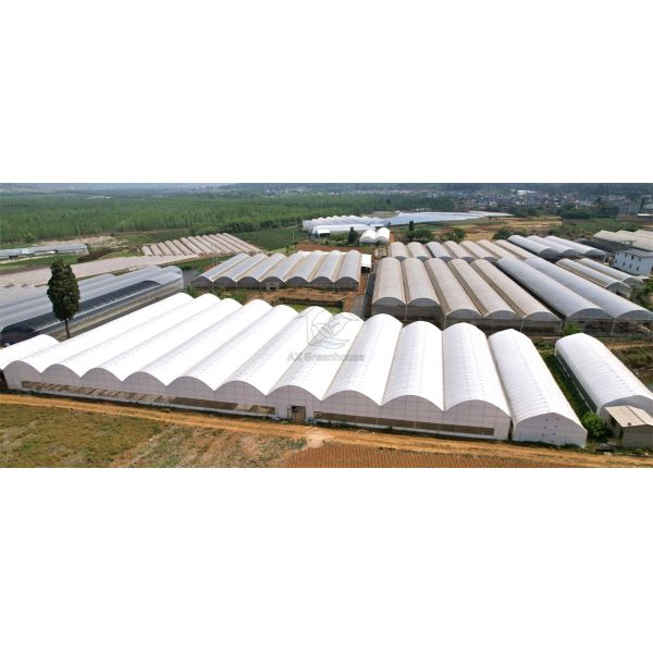Greenhouse Cover Transparent Plastic PE Film
