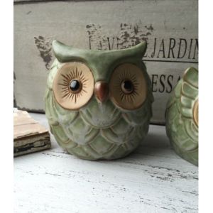 Succulent Creative Animals Owl Plant Flowerpots