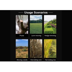 Rechargeable Hand Held Electric Grass Cutter With Telescopic Handle