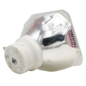 Buy 50X50MM NEC 210W Projector Bare Bulb 6000hrs Life Time at wholesale prices