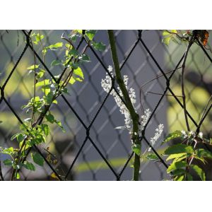 Quality SUS304 Stainless Steel Cable Trellis / Vertical Fence Wire For Climbing Plants 100mm for sale