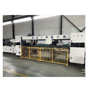 Flexo Printing Die Cutting Folder Gluing Strapping In Line Carton Production
