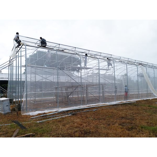 Buy 200micron PE Film Ventilation System Greenhouse High Security Weather Proof at wholesale prices
