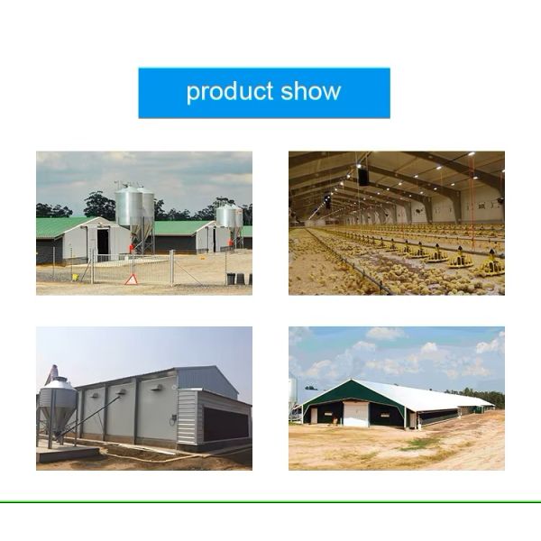 Steel Structures for Poultry House Broiler Chicken Coop Farm Warehouse Gymnasium Ready