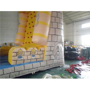Inflatable Climbing Wall (CYSP-613)