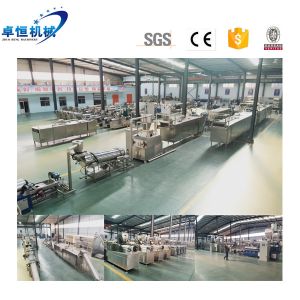 5000 KG Floating Carps Catfish Koi Fish Feed Extrusion Making Machine within