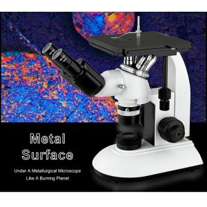 Inverted Metallurgical Optical Microscope WF10x/18mm Eyepiece Quadruple