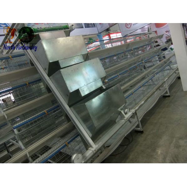 Buy plastic poultry transport cage at wholesale prices