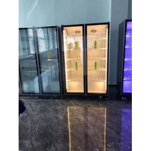 BAR AND NIGHTCLUB DEDICATED WINE DISPLAY FREEZER VERTICAL REFRIGERATOR