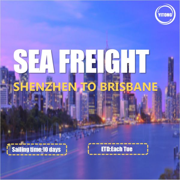 Buy DDPInternational Sea Freight From Shenzhen To Brisbane Australia at wholesale prices