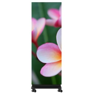 P1.25 LED Poster Display Top-Cob High Protection 1x6 For Training Institutions