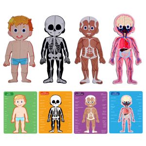 Magnetic Human Body Jigsaw Puzzle Preschool Creative Cognitive Skills Training