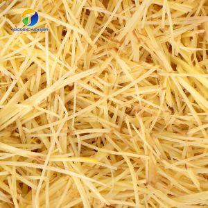 Cafeteria 0.75KW Vegetable Processing Machine Ginger Slicing Equipment