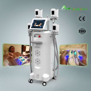 2018 Newest Cryolipo Beauty Salon Equipment / Fat Freezing Beauty Salon