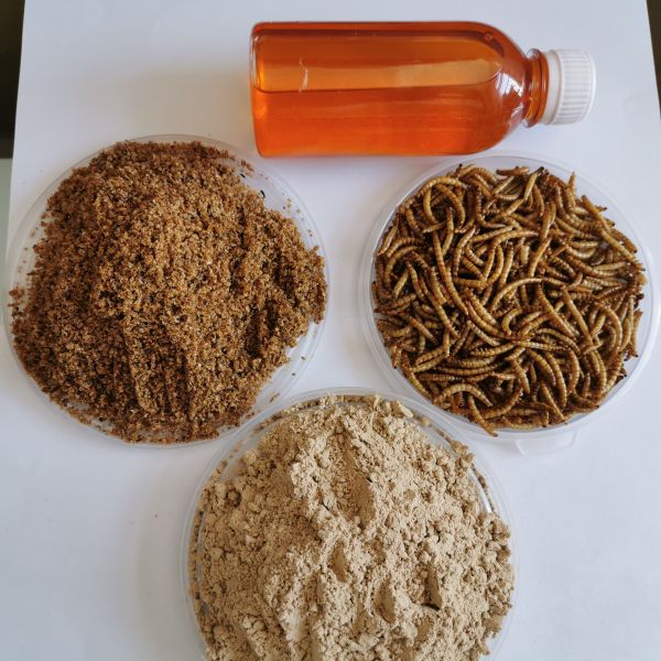 6.6% Or So Dried Mealworm Protein Powder with Fat Composition in