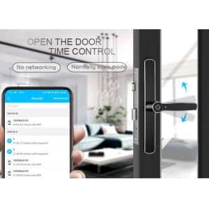 Fingerprint TTlock Electronic Biometric Bluetooth Gate Locks